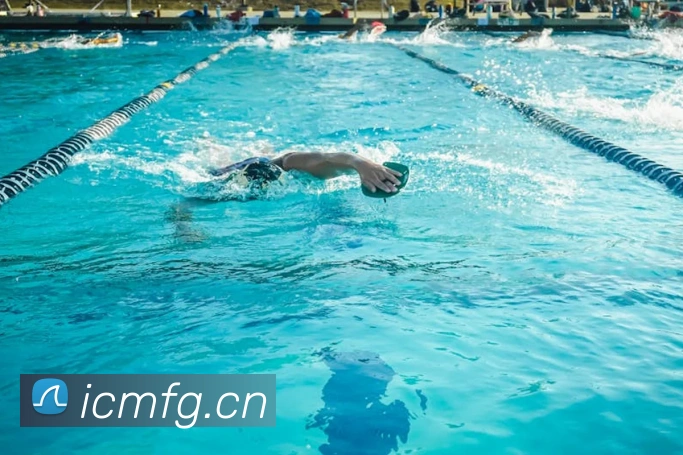 半岛网页版登录入口平台生态图